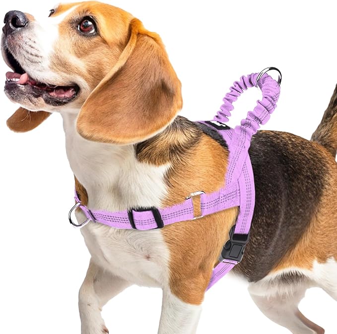 PUPTECK No Pull Dog Harness Small Sized Dog, Adjustable Reflective Pet Vest Harness with Bungee Handle, Escape Proof No Choke Harness for Small Dogs Walking Training, Purple M