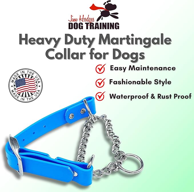 Martingale Collar for Dogs, Biothane, Stainless Steel Hardware, No Pull, Made in The USA, Professional Grade, XXS, Light Blue