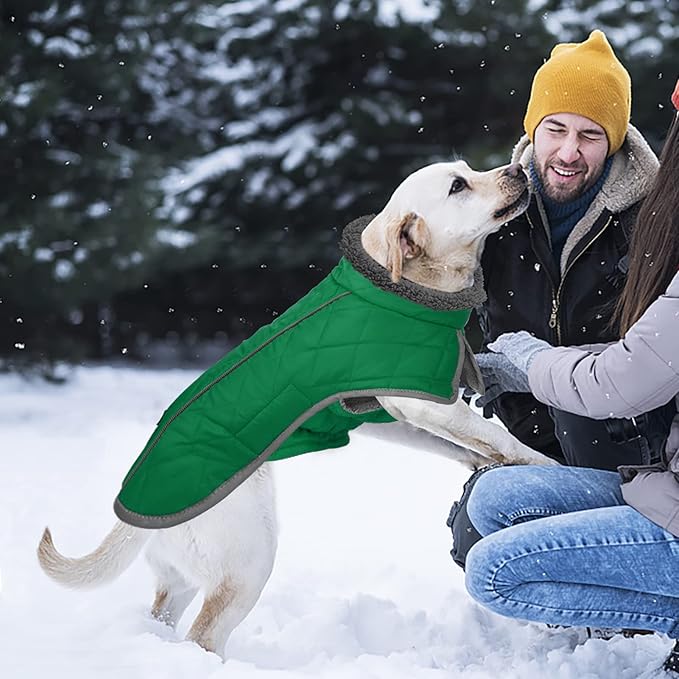 Fragralley Dog Coat Large, Waterproof Dog Jacket with Warm Fleece Lining, Adjustable Reflective Dogs Winter Coat, Turtleneck Pet Coats for Cold Weather (Green XL)