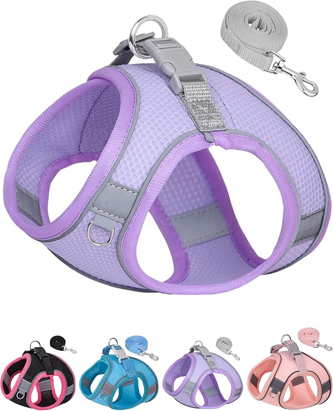 Dog Harness for Small Medium Sized Dog, Step in Puppy Harness and Leash Set Training Walking. (Purple, L)