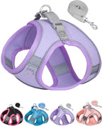 Dog Harness for Small Medium Sized Dog, Step in Puppy Harness and Leash Set Training Walking. (Purple, L)