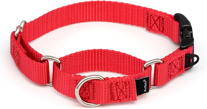 PetSafe Martingale Collar with Quick Snap Buckle - Adjustable No-Slip Design for Better Leash Control - Durable Nylon Material - Humane Gentle Correction for Safer Training - Small - Red