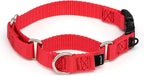 PetSafe Martingale Collar with Quick Snap Buckle - Adjustable No-Slip Design for Better Leash Control - Durable Nylon Material - Humane Gentle Correction for Safer Training - Small - Red