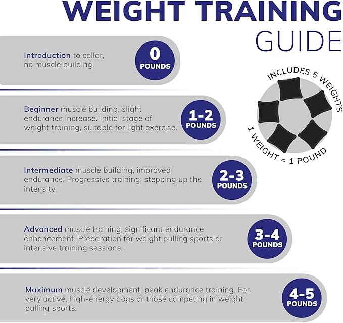 ActiveDogs Weighted Dog Collar for Muscle Building and Tactical Training - Dog Weighted Vest for Exercise - Includes 5x1lb Weights & Sheepskin Padding - Ideal for K9, Bully, Bull Terrier & More