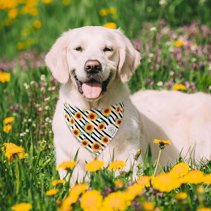 E-Clover Dog Bandanas & Matching Scrunchie Set Sunflower Dog Bandana Scarf Bibs for Medium Large Dogs Girl Pet Owner Birthday Gift Stripe
