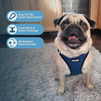 Best Pet Supplies - All Weather Mesh / Plush, Reflective, No Pull Harness for Small, Medium Dogs, Cats - Secure with Hook & Loop Fastener, Buckle, Double D-Rings - Blue/Black Trim, S