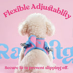 rabbitgoo Dog Harness Small Sized and Leash Set, Step-in Breathable Pet Harness, Soft Walking Reflective Puppy Vest for Small Dogs, Pink & Light Blue, S