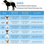 AIITLE XXS Dog Harness & Leash Set - Breathable Reflective No-Choke Small Dog Harness for Teacup Puppies, Indoor/Outdoor Use - Boston Terrier, Maltese, Chihuahua (Turquoise-Pink, XXS)