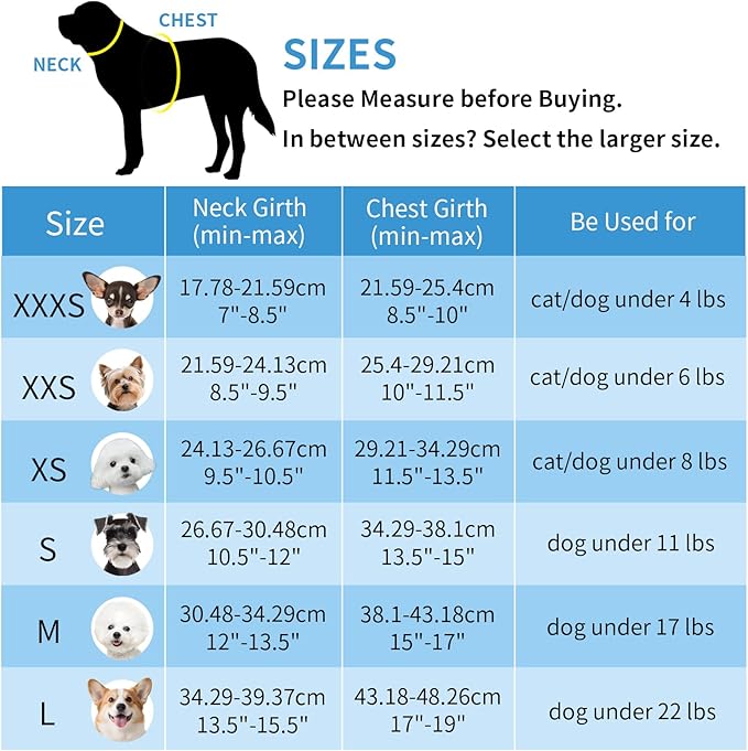 AIITLE XXS Dog Harness & Leash Set - Breathable Reflective No-Choke Small Dog Harness for Teacup Puppies, Indoor/Outdoor Use - Boston Terrier, Maltese, Chihuahua (Turquoise-Pink, XXS)