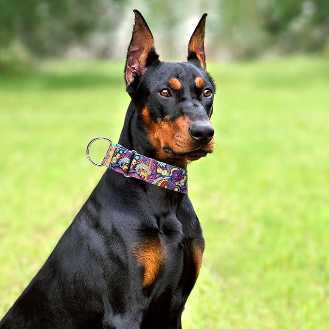Martingale Dog Collar No-Pull Adjustable for Medium/Large Dogs - Heavy Duty 1.5" Wide Training Collar with Aztec Tribal Pattern, Durable Nylon Secure Fit (XL)