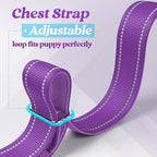 rabbitgoo Dog Harness No Pull, Quick Fit for Large Dogs with Soft Padded Handle, Chest Adjustable Reflective Pet Vest, No Choke Escape Proof for Walking Training, Purple XL