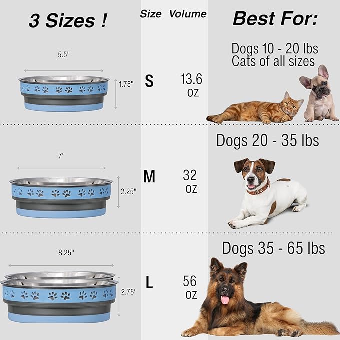 Loving Pets Corsa Dog Bowls- Stainless Steel Dog & Cat Bowls - Spill Proof Dog Food Bowl, Cat Bowl, Puppy Essentials & Pet Supplies Great for Home & Travel (Large 35-65 lbs, Rapid Blue)