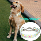 Heavy Duty Chain Dog Collar - No-Pull Martingale Choke Collar for Large Dogs, Adjustable Slip Training Collar for Secure Control(XL)