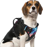 PUPTECK No Pull Tactical Dog Harness Medium Sized, Adjustable Reflective Dog Harness with Handle Easy Control, Comfortable Soft Padded Pet Vest Harness for Medium Dogs, Aurora M
