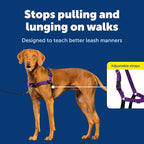 PetSafe Easy Walk Harness for Dogs - Pull-Free Walks - Patented Martingale Loop Design - Front Chest Leash Attachment - Comfort Straps - Breathable Harness Design - Medium, Deep Purple/Black