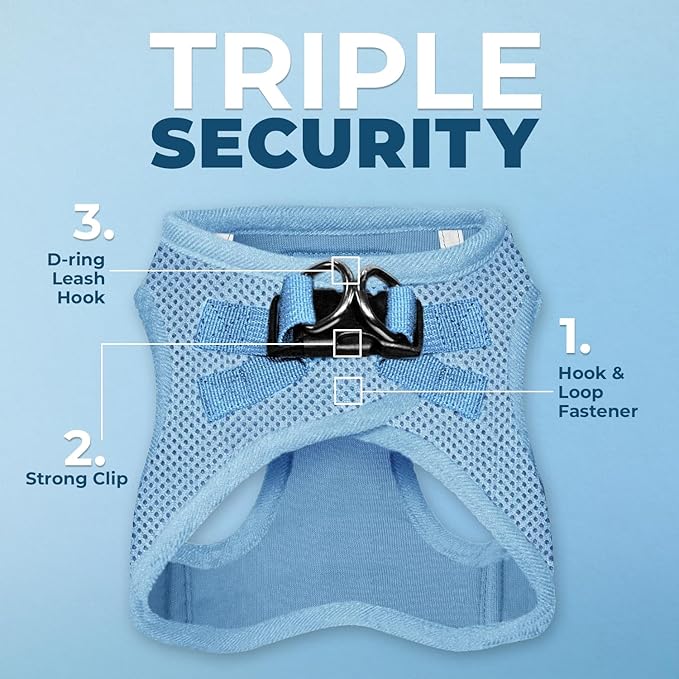 Best Pet Supplies Voyager Step-in Air All Weather Mesh Harness and Reflective Dog 5 ft Leash Combo with Neoprene Handle, for Small, Medium and Large Breed Puppies - Set (Baby Blue), XXS