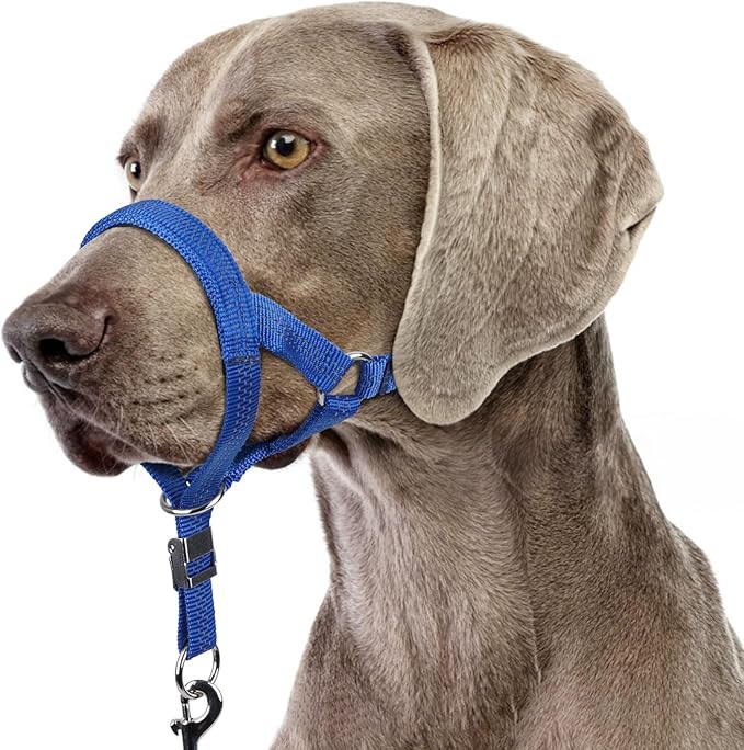 BARKLESS Sturdy No Pull Head Collar for Medium Large Dogs, Gentle Reflective Head Halter with Safety Link, Adjustable Nylon Dog Training Muzzle Leash for Walking Control (Blue, L)