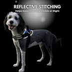 ShawnCo Essential Dog Harness, No-Pull Pet Vest with 3 Leash Clips, No Choke, Reflective, Adjustable and Padded, for Easy Walking and Training for Small, Medium and Large Dogs (Military Camo, S)