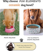 FE FUN ELEMENTS Ceramic Dog Bowls for Small Dogs, 16 Fl Oz Heavy Food and Water Bowl With Adorable Patterns (Small, Blue)