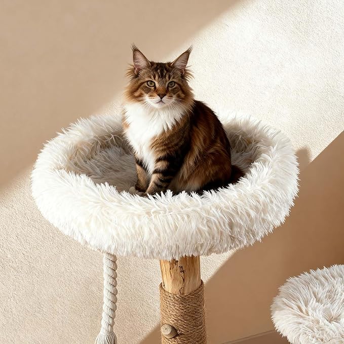 Modern Cat Tree Tower for Indoor Cats, 33" Luxury Cats Trees Natural Solid Wooden with Sisal Scratching Post, Log Style Cat Furniture with Perches Platform & Toy Ball，Primary Colors