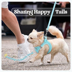 rabbitgoo Dog Harness Small Sized and Leash Set, Step in Soft Light Puppy Vest, Breathable Mesh Pet Harness, Reflective for Safe Easy Walking, Mint Blue XXXS