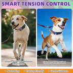 KOOLTAIL Martingale Collar for Dogs for Small Medium Large Dogs, Soft Padded Nylon No Pull Dog Collar with Buckle, Adjustable No Slip Heavy Duty Durable Puppy Training Collar for Boys Girls, M