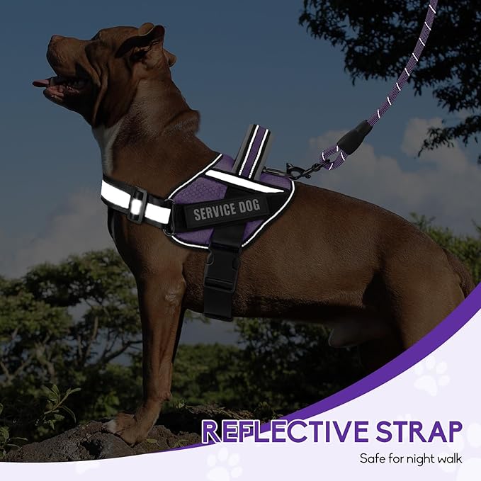 Service Dog Vest Harness and Leash Set, Animire in Training Dog Harness with 10 Dog Patches, Reflective Dog Leash with Soft Padded Handle for Small, Medium, Large, and Extra-Large Dogs (Purple, S)