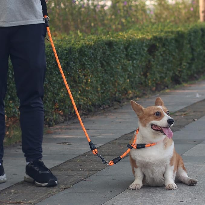 LOS ANDES Dog Slip Collar with Slidable Stopper, No Pull Choker Training Martingale Collar for Small Medium Large Dogs, Nylon, Orange-Reflective, S (15 in x 8 mm)