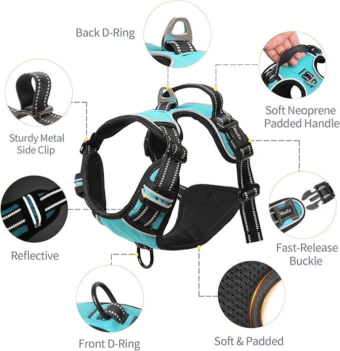 HEELE Dog Harness Dog Harness Small Dog No Pull Harness wiht Soft Handle Reflective Harness Adjustable, Turquoise, XS