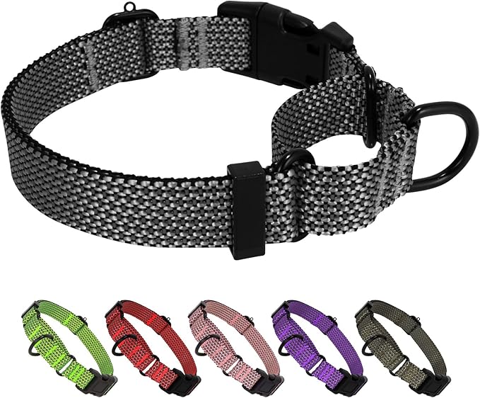 Martingale Dog Collars Adjustable Training Martingale Collar for Dogs - Reflective No Pull Dog Collar with Quick Release Buckle (Army Green, Extra Large)