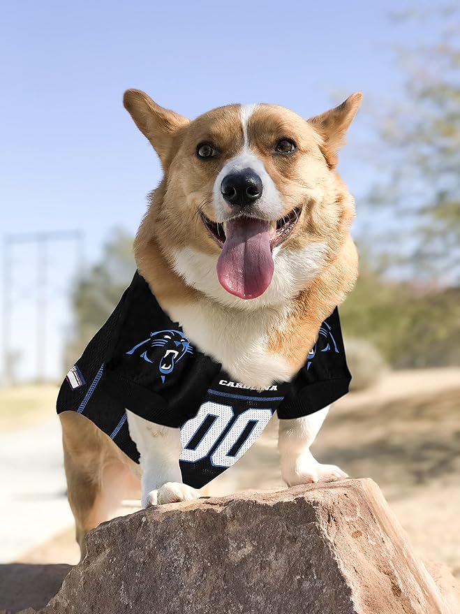 Carolina Panthers Pet Striped Jersey
