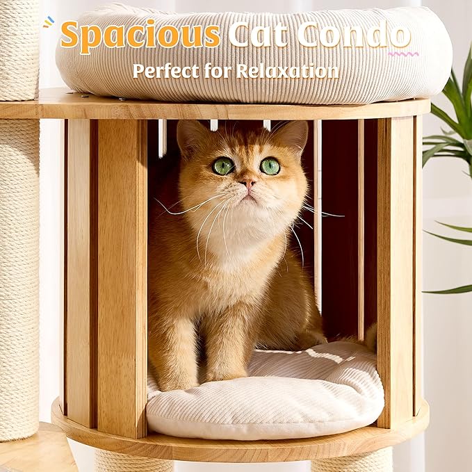 HITTITE Solid Wood Cat Tree Tower with Scratching Post, 61 Inches Tall Cat Towers with Capsule and Condo, Modern Cat Tower with Climbing Ladder and Removable Top Bed for Indoor Cats.