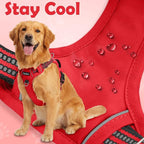 Funfox Dog Harness No Pull, Adjustable Pet Vest Harness, Super Soft Material with Vertical Handle Easy Control, Reflective Night Walking, 2 Leash Clips for Medium Sized Dogs, Red, M