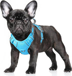 BARKBAY No Pull Dog Harness Large Reflective Dog Harness with Front Clip and Easy Control Handle for Walking Training Running with ID tag Pocket(Blue,S)