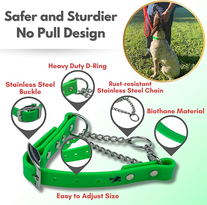 Martingale Collar for Dogs, Biothane, Stainless Steel Hardware, No Pull, Made in The USA, Professional Grade, XS, Green