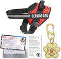 Service Dog Vest, ID Tag + 50 ADA Information Cards, Service Dog Harness in Sizes X Small to XX Large, Ruggedized Metal Tag, 2-Sided Service Animal Information Cards, ESA Accessory Set X-Large