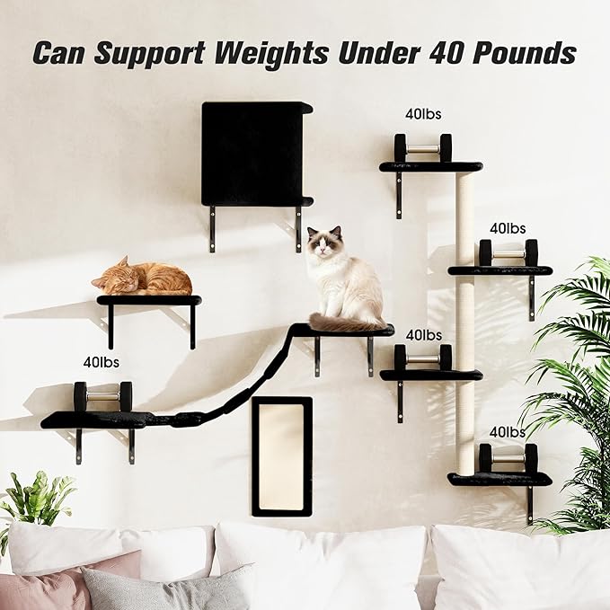 Wall Mounted Cat Furniture Set of 5 With Tree, Perch, Scratcher, Bridge and Condo, Gray (Black)