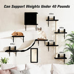 Wall Mounted Cat Furniture Set of 5 With Tree, Perch, Scratcher, Bridge and Condo, Gray (Black)