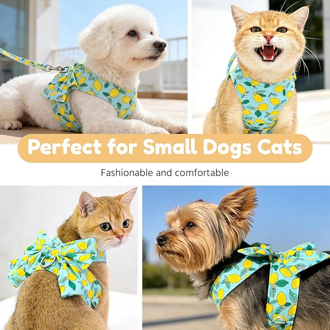 BAEJMJK Dog Harness and Leash Set with Bow Knot No Pull Pet Daisy Floral Harness with D-Ring Soft Mesh Dog Harness Vest Set Escape Proof Princess Puppy Harness for Small Girl Dogs Cats（Green M）