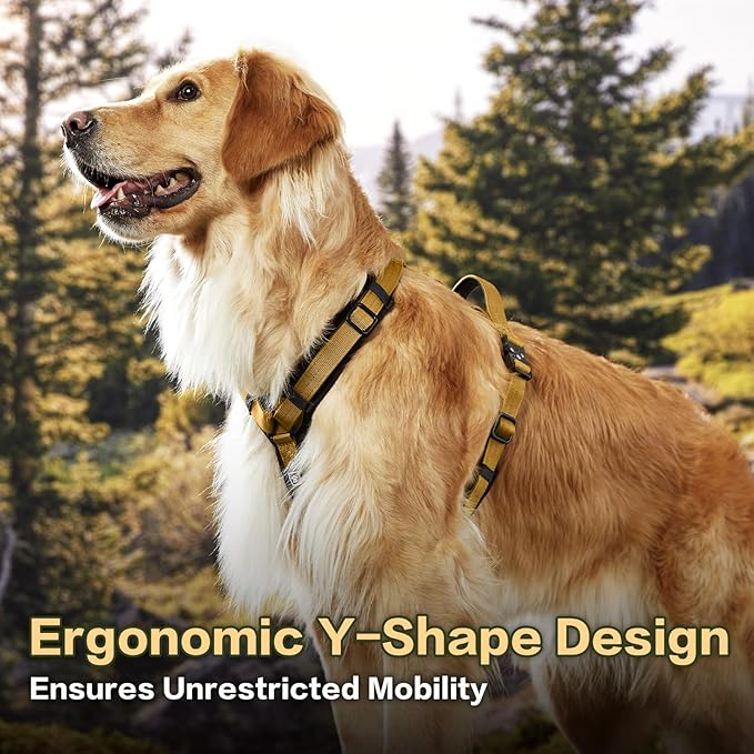 PawsPassion Dog Harness for Large Dogs, No Pull Dog Harness with Metal Hardware, Ergonomic Y-Shaped Design, Soft Padding, Padded Handle, Durable High-Tensile Nylon (Sunrise, L)