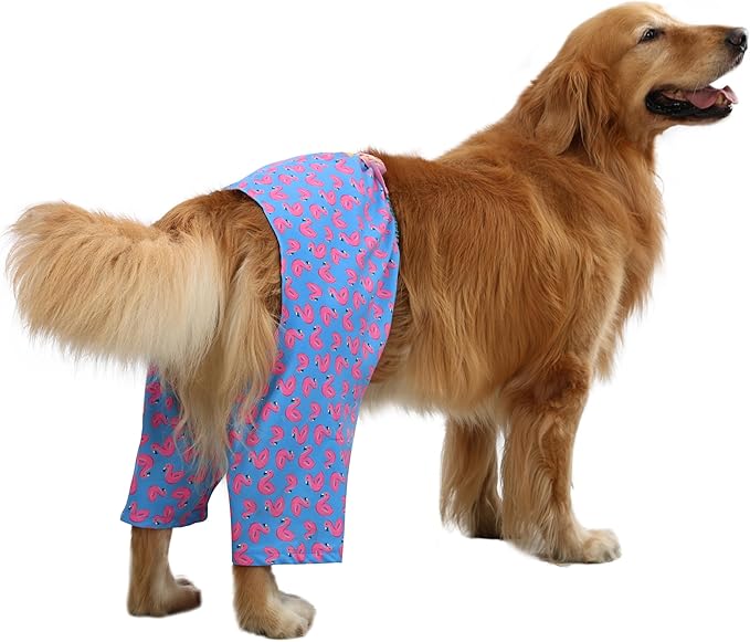 HDE Dog Swim Trunks Hawaiian Board Shorts Beach Pool Swimsuit for XS to XXL Dogs Flamingos - L