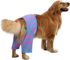 HDE Dog Swim Trunks Hawaiian Board Shorts Beach Pool Swimsuit for XS to XXL Dogs Flamingos - XXL