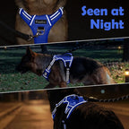 Funfox Dog Harness No Pull, Adjustable Pet Vest Harness, Super Soft Material with Vertical Handle Easy Control, Reflective Night Walking, 2 Leash Clips for Small Sized Dogs, Blue, S