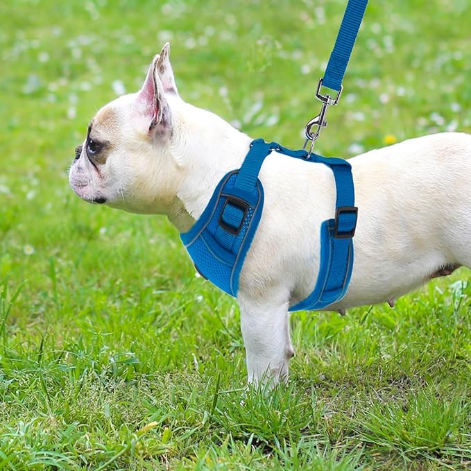PUPTECK Small Dog Harness and Leash Set, No Pull Adjustable Puppy Cat Harness, Reflective Soft Mesh Pet Vest Small Sized, Blue, M