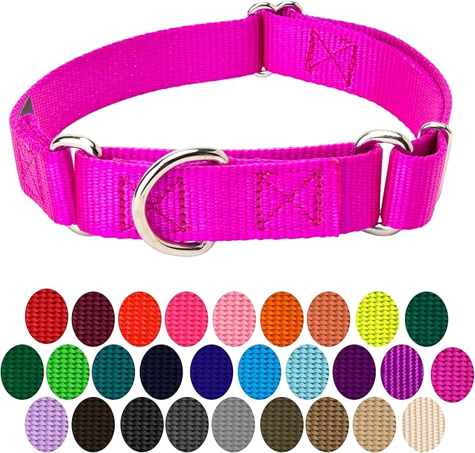 Country Brook Petz - Martingale Dog Collar - Heavy-Duty Training Collar with No Buckle - Service Dog Collar for All Pups - 10+ Cool Colors (Fuchsia, 3/4 Inch, Small)