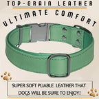 ADITYNA Leather Dog Collar with Metal Buckle - Heavy-Duty, Adjustable for Medium & Large Dogs - Walking, Training, Hiking (Green, Fits 15-21" Necks)