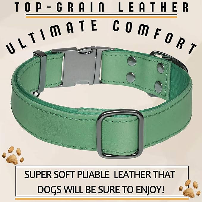 ADITYNA Leather Dog Collar with Metal Buckle - Heavy-Duty, Adjustable for Medium & Large Dogs - Walking, Training, Hiking (Green, Fits 15-21" Necks)