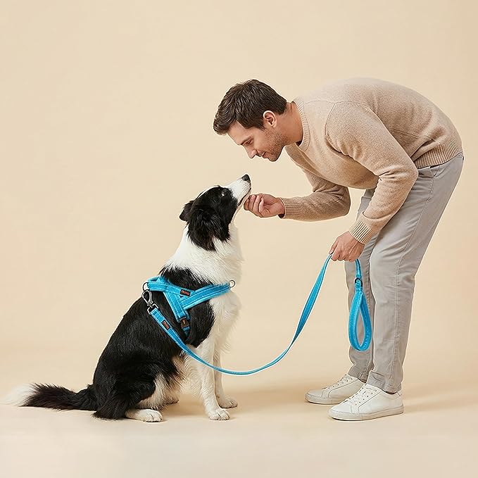 Didog Soft Flannel Padded Dog Vest Harness, No Pull/Quick Fit Reflective Dog Strap Harness, Easy for Training Walking (M:Chest 22-26", Blue)