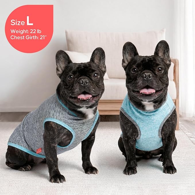KYEESE 2Pack Dog Shirt, Lightweight Sun Protection Sleeveless Dog T Shirts for Small Dogs Boy, Breathable Pet Reflective Tank Top Summer Dogs Clothes for Outdoor Walking, Grey+Sky Blue, M
