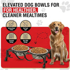 Loving Pets Elevated Dog Bowls – Raised Stainless Steel Dog Bowls with Steel Stand – Non-Skid, No Spill Feeder for Small, Medium & Large Dogs – Easy to Clean, Durable Raised Dog Feeding Station